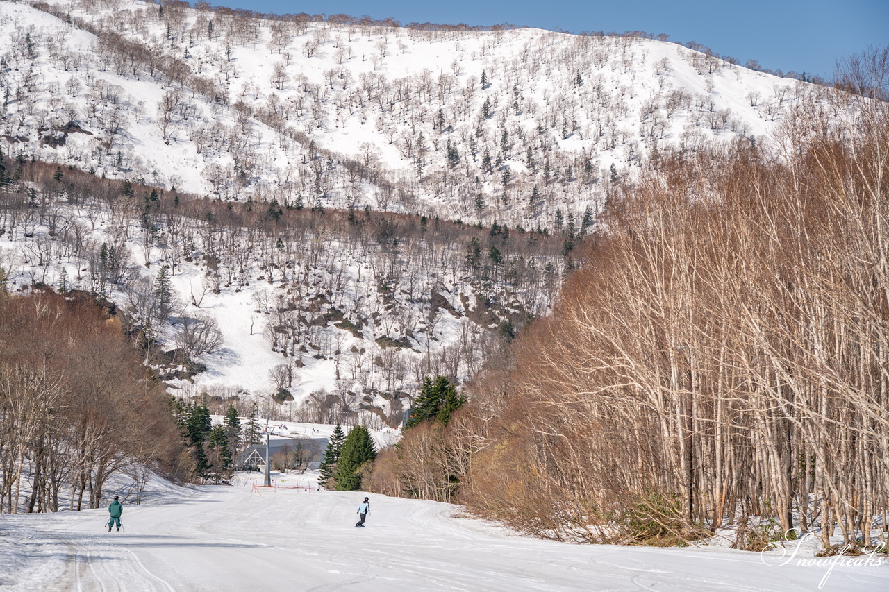 キロロリゾート｜ポカポカ陽気で絶好の春スキー日和♪こんな日は、みんなで思いっきり春雪を満喫しましょう！
